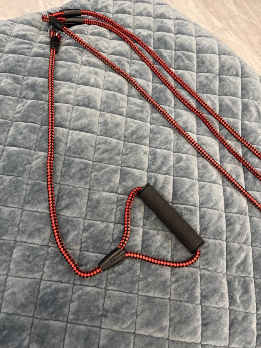N/A adjustable dog